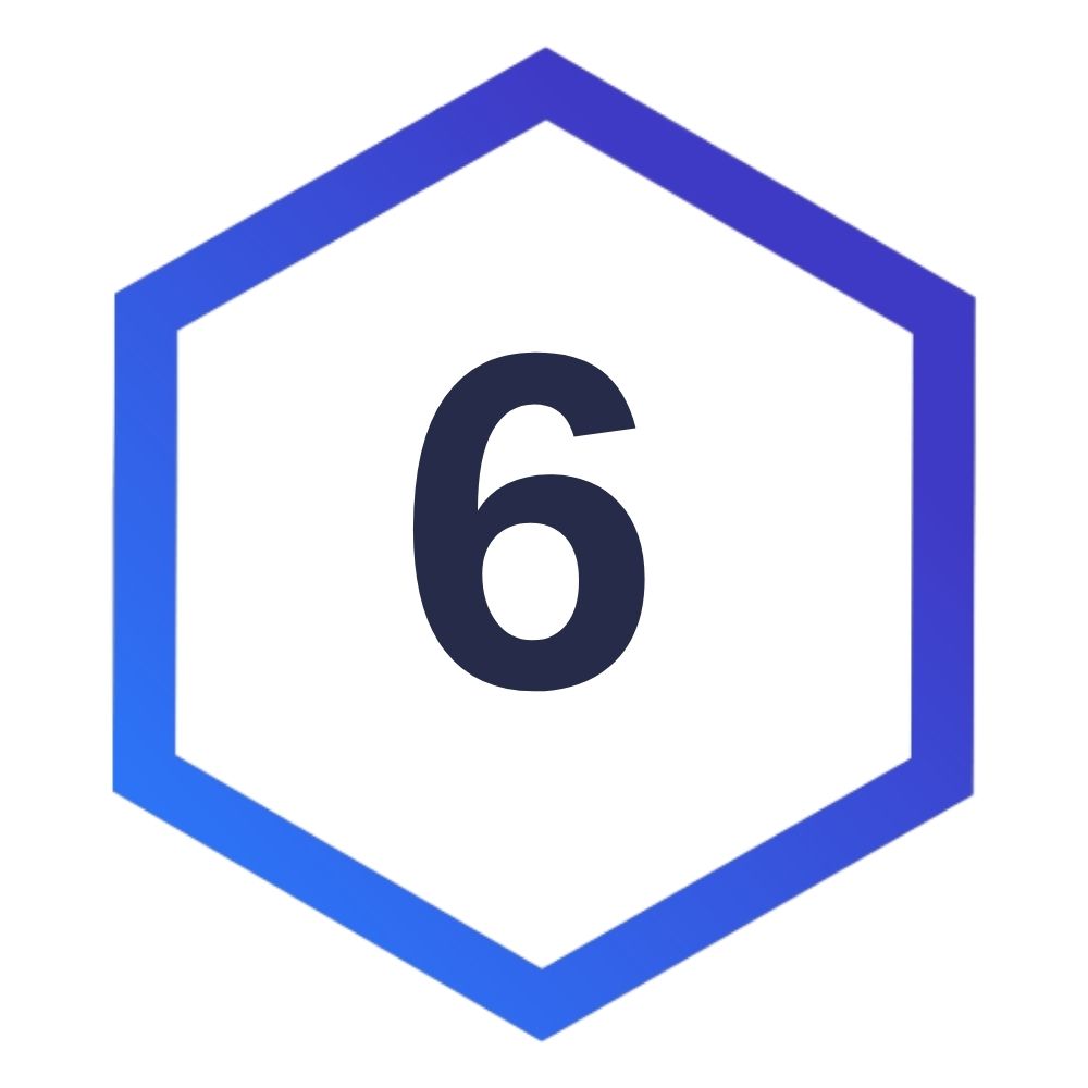 6 6